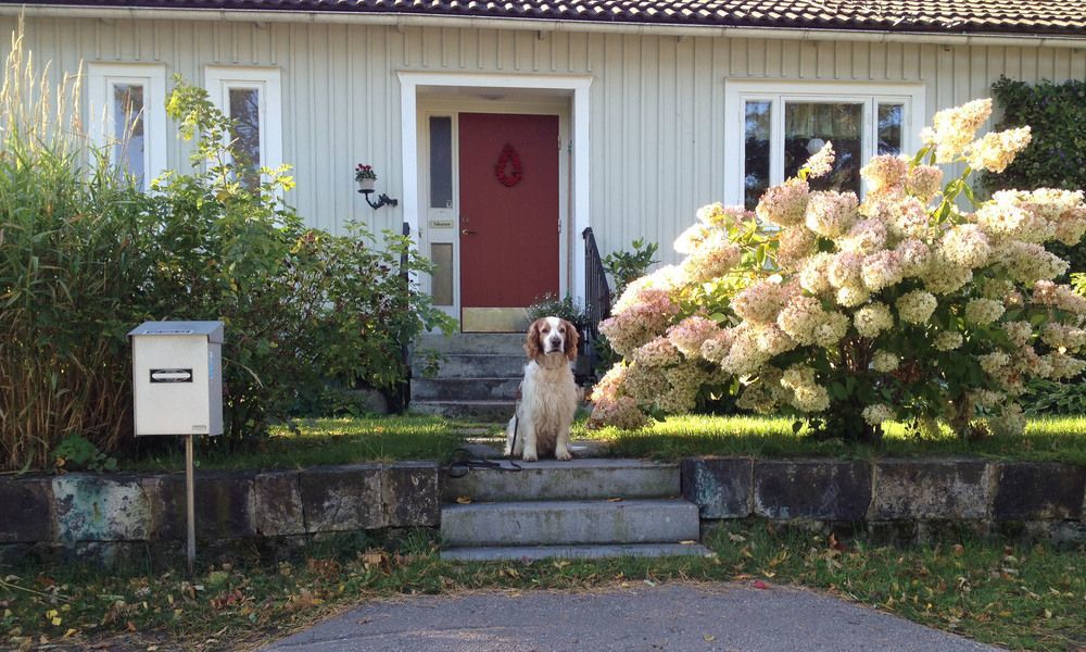 Tant Groen B&B Falun Exterior photo
